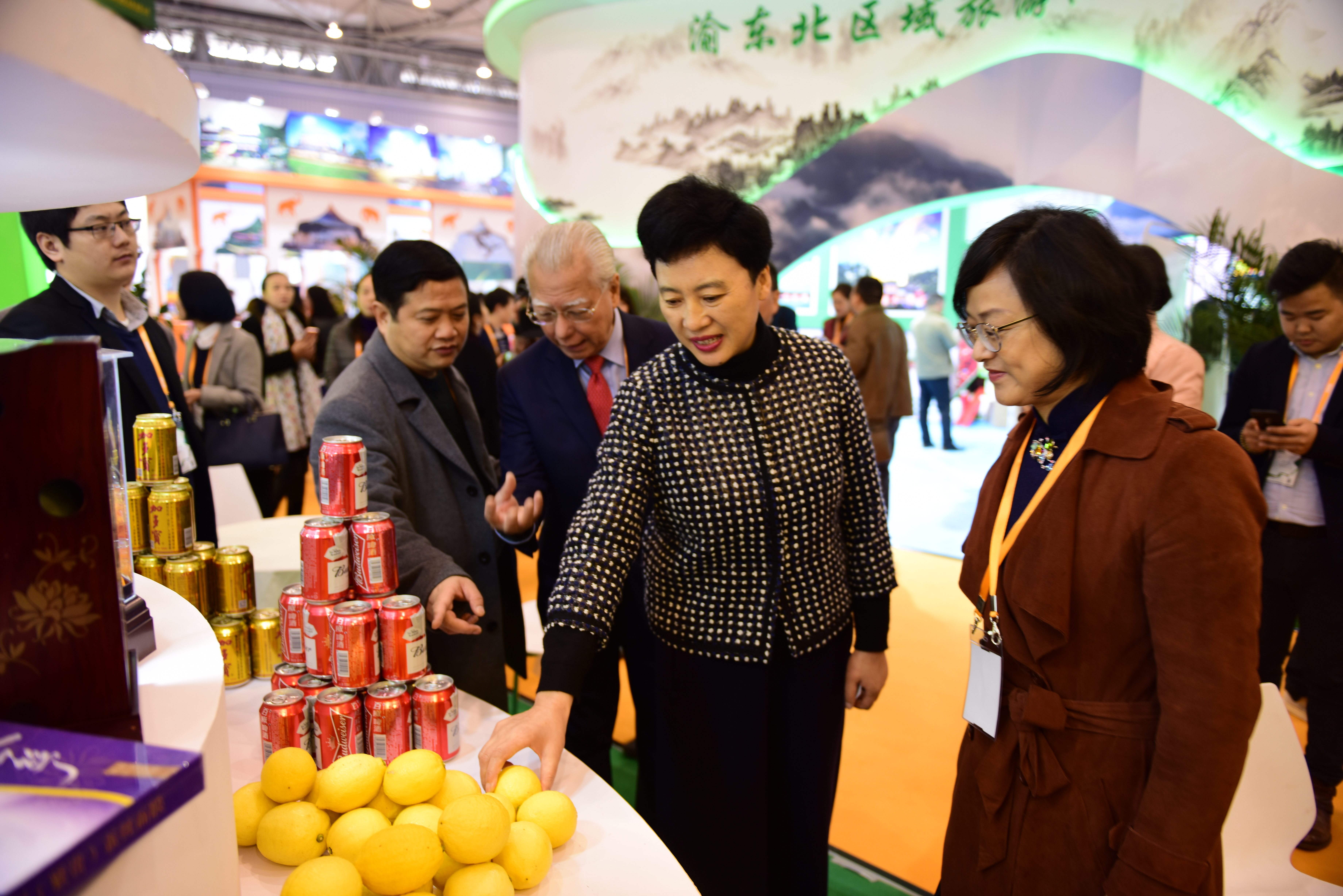 ���������Ųμ�2017�����ɶ���������չ